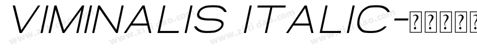 Viminalis Italic字体转换